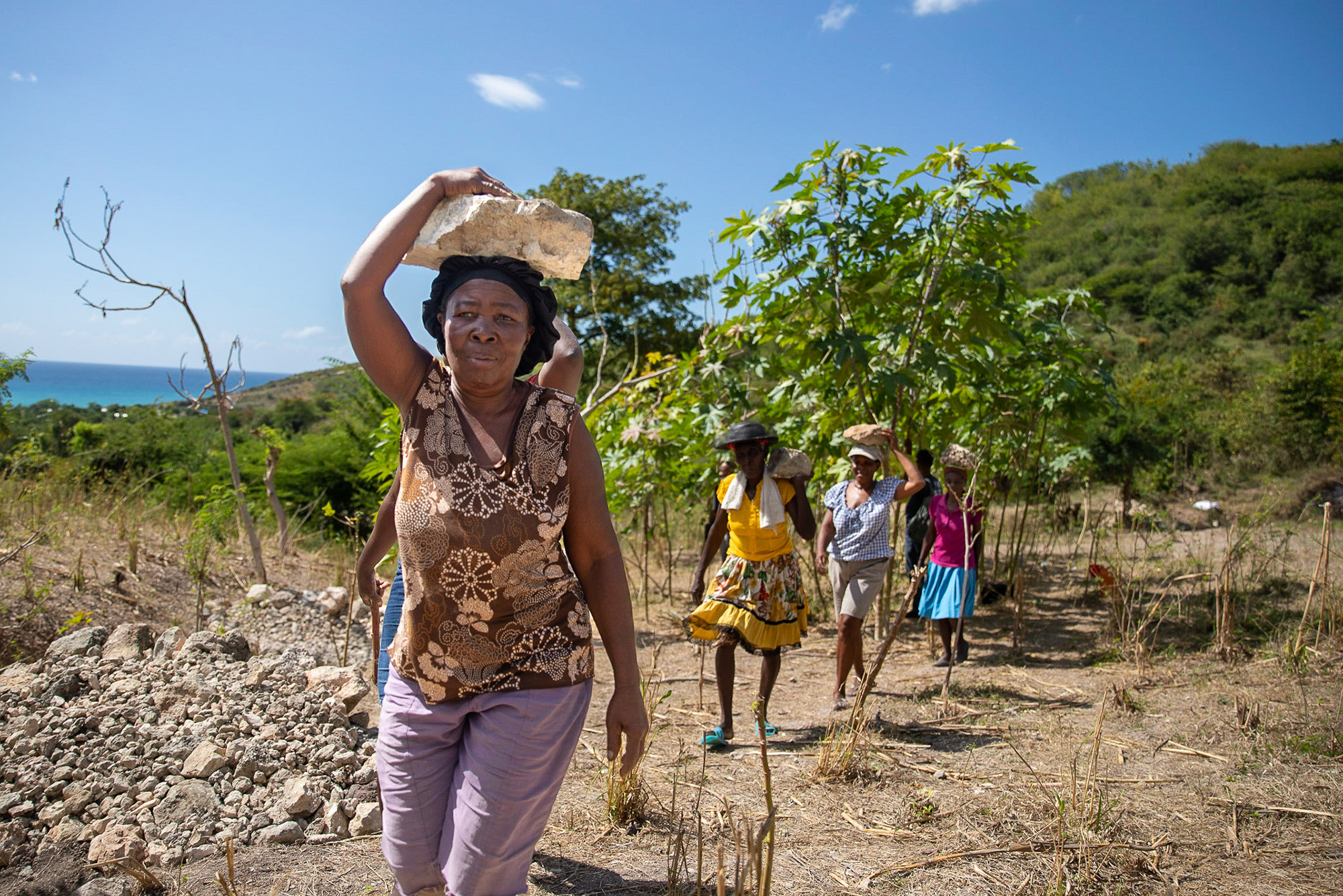 Haïti au « croisée des chemins » de la reconstruction post-séisme