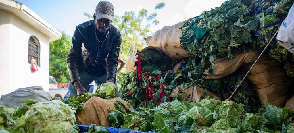 Des agriculteurs du sud du pays ont du mal à acheminer leurs produits vers les marchés.