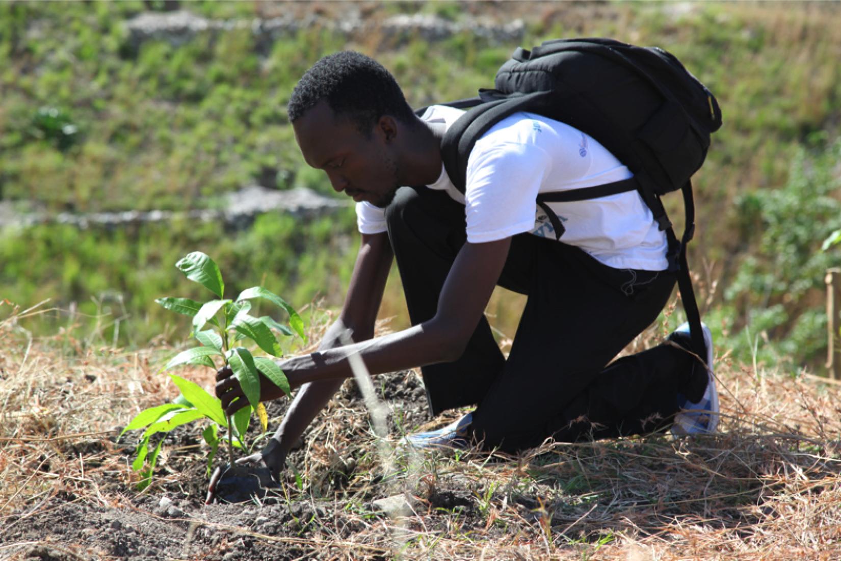  Appui à la relance du sous-secteur semencier en Haïti